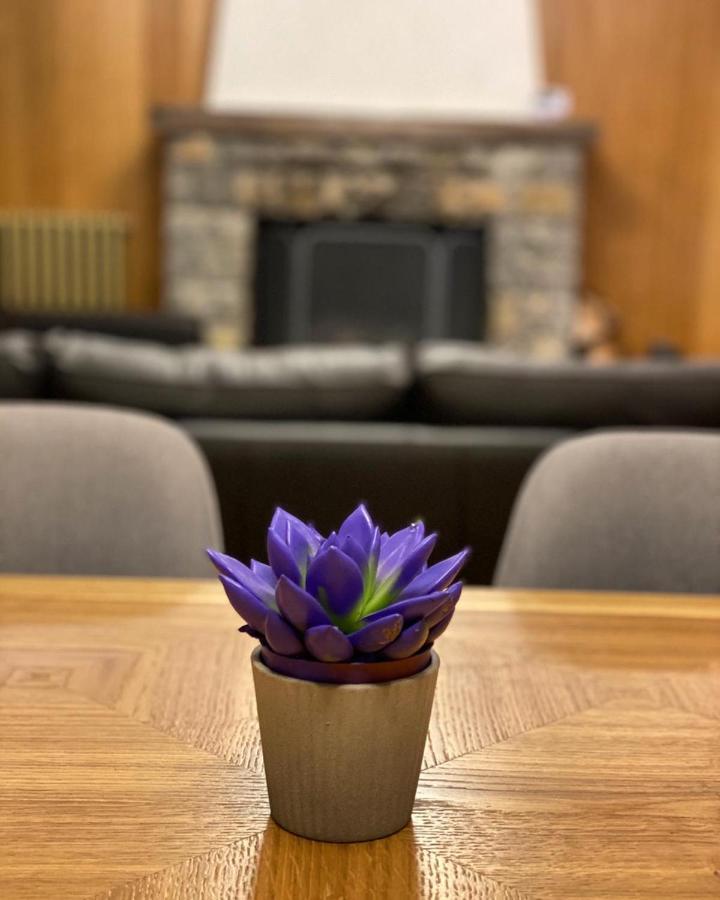 Vila Tara Žabljak Buitenkant foto
